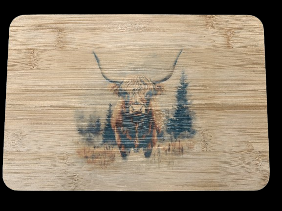 Highland Cow